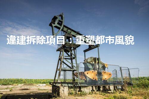 違建拆除項目：重塑都市風貌，共建和諧家園